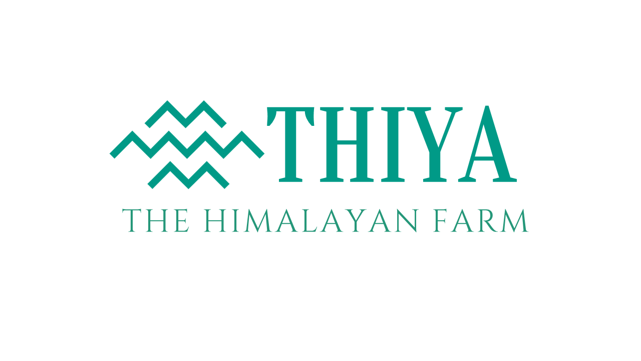 Thiya Logo